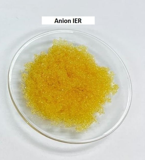 NIP Anion Exchange Resins