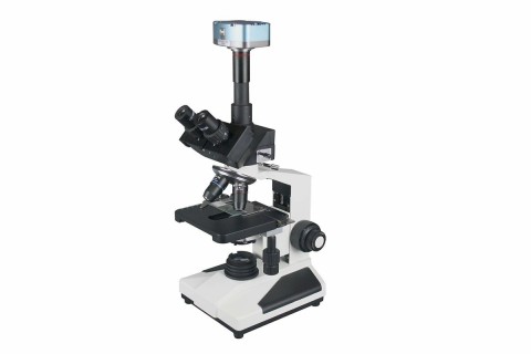 Trinocular Microscope